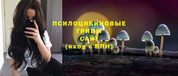 СК Абинск