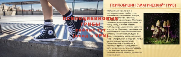 спайс Алзамай
