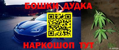 мдпв Рыбинск