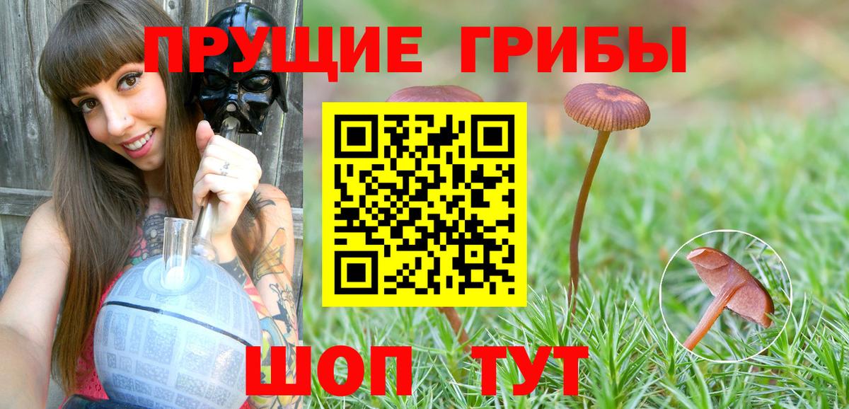Галлюциногенные грибы мицелий Волоколамск